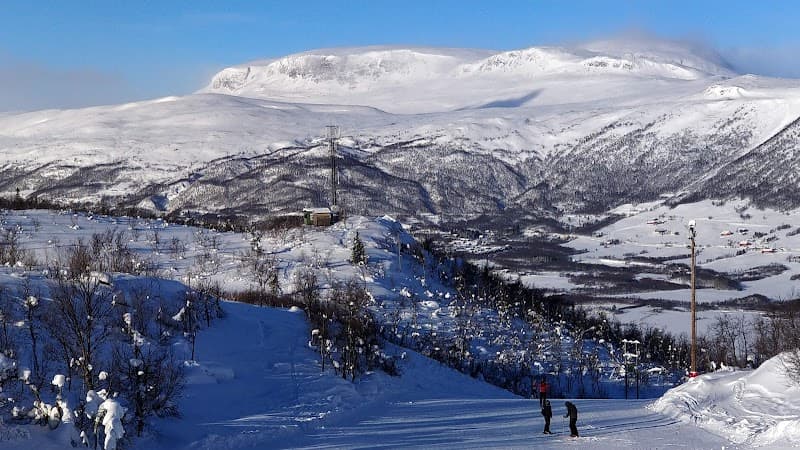User photo of Geilo