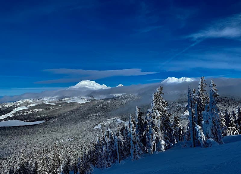 User photo of Mount Bachelor