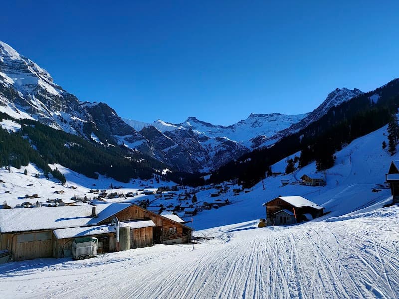 Adelboden-Lenk ski resort
