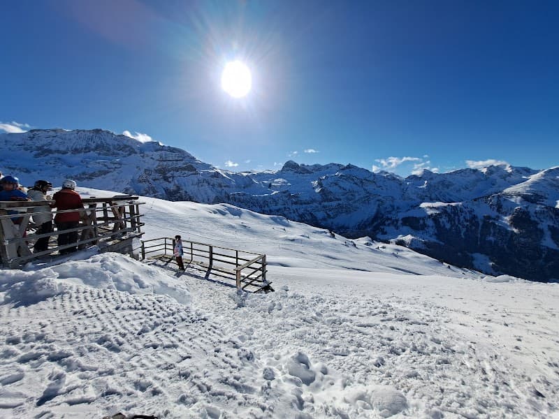User photo of Adelboden-Lenk