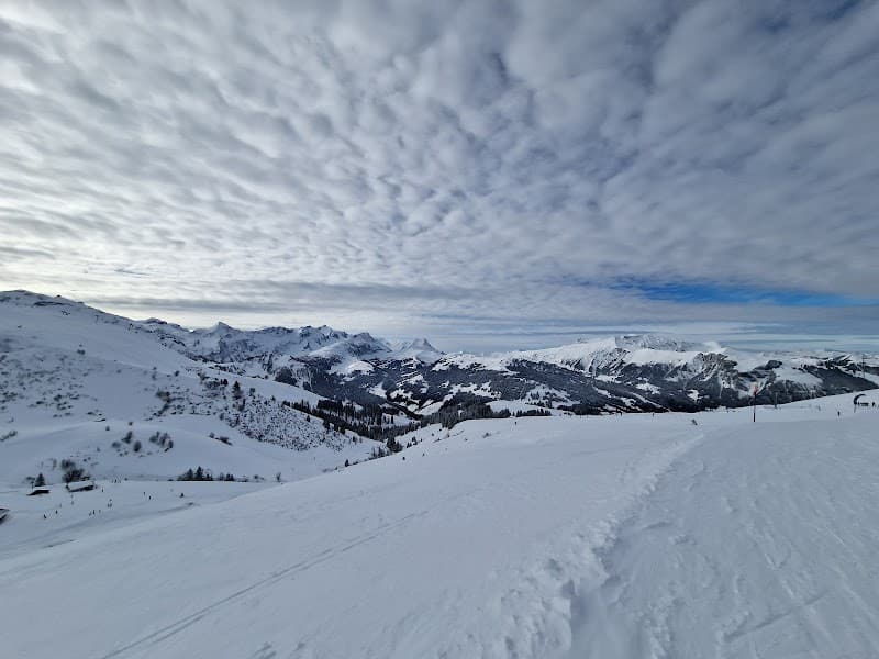 User photo of Adelboden-Lenk