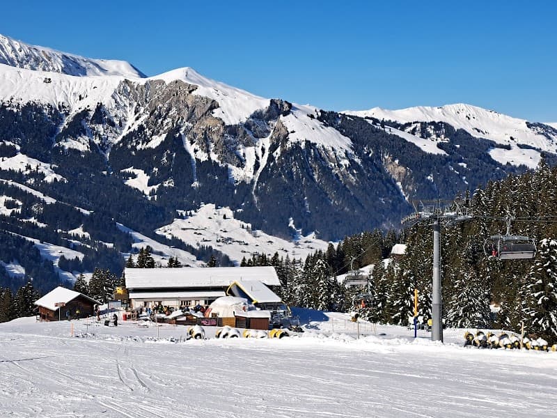 User photo of Adelboden-Lenk
