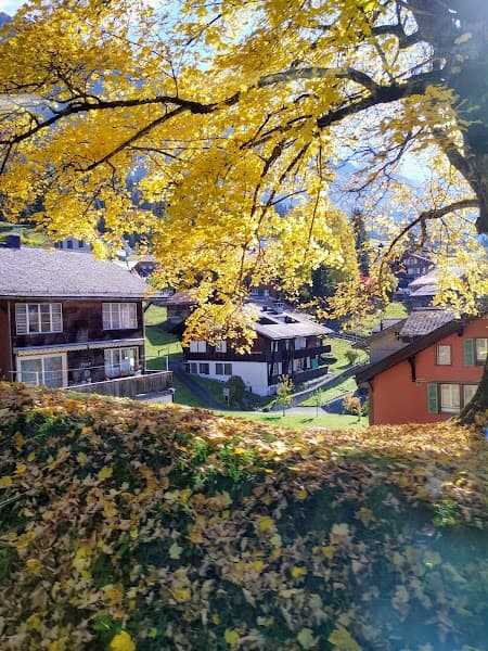 User photo of Wengen