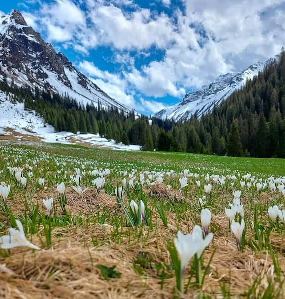 User photo of Gargellen