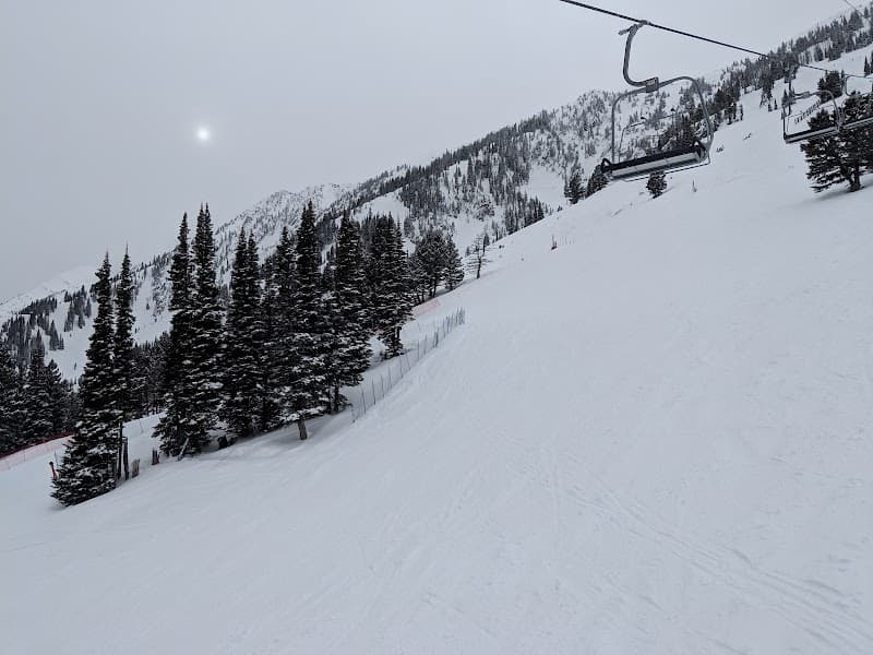 User photo of Bridger Bowl