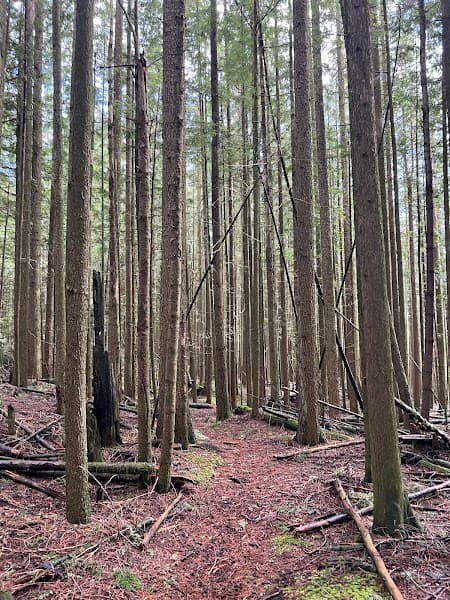 User photo of Red Mountain