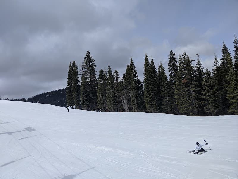 User photo of Homewood