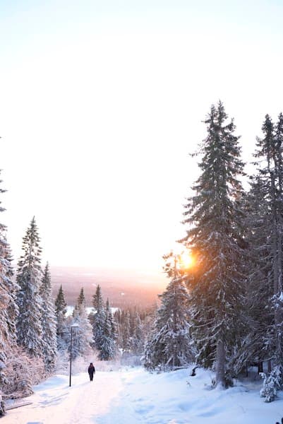 User photo of Iso-Syöte