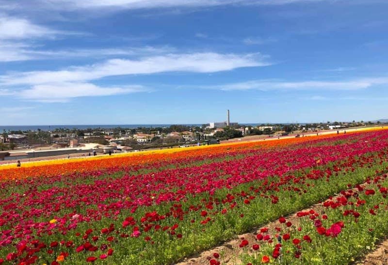 User photo of Furano