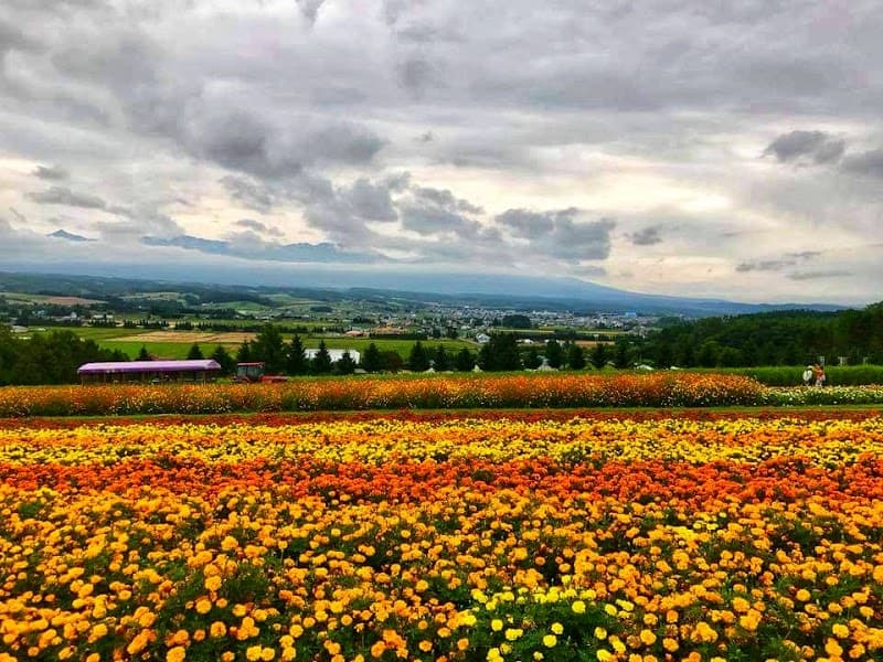 User photo of Furano - unknown