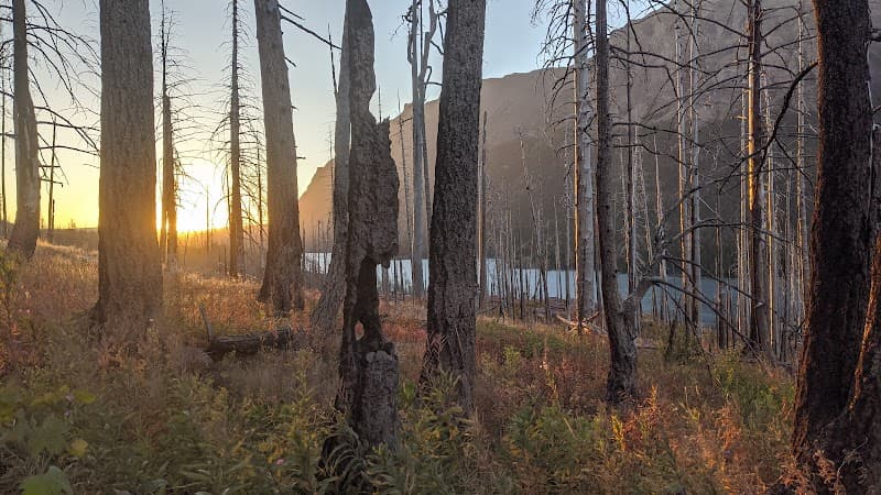 User photo of Whitefish