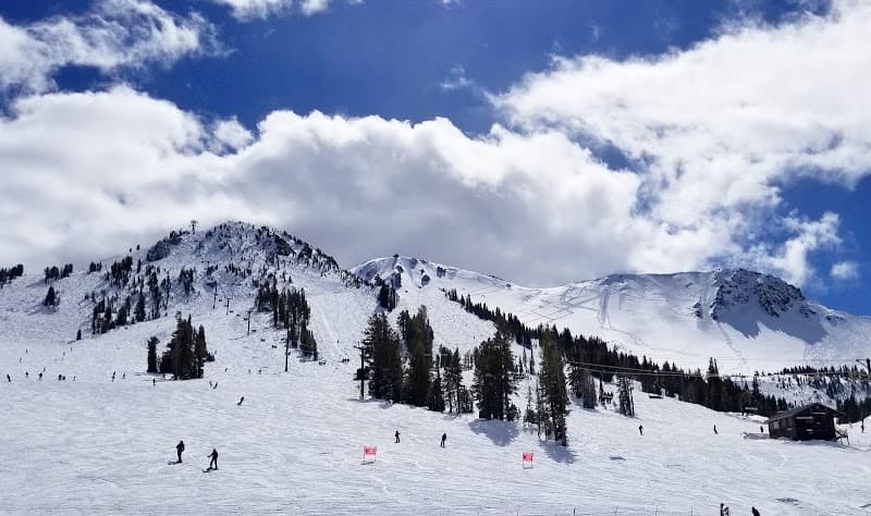User photo of Mammoth Mountain - skiing