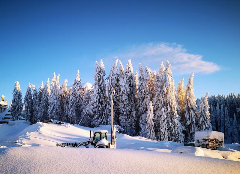 User photo of Kopaonik