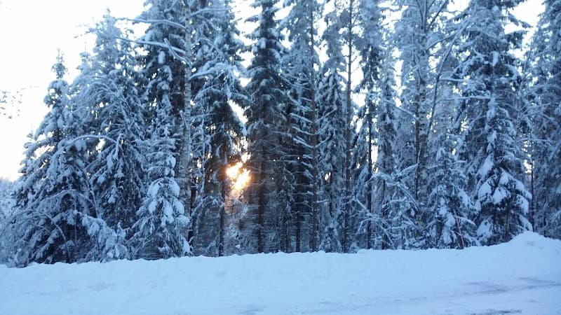 User photo of Vuokatti