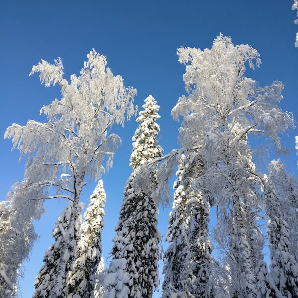 User photo of Vuokatti