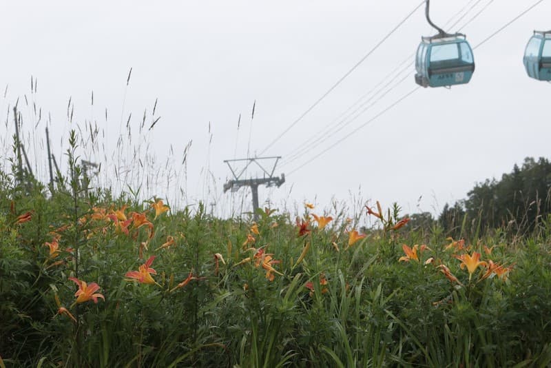 Appi Kogen ski resort