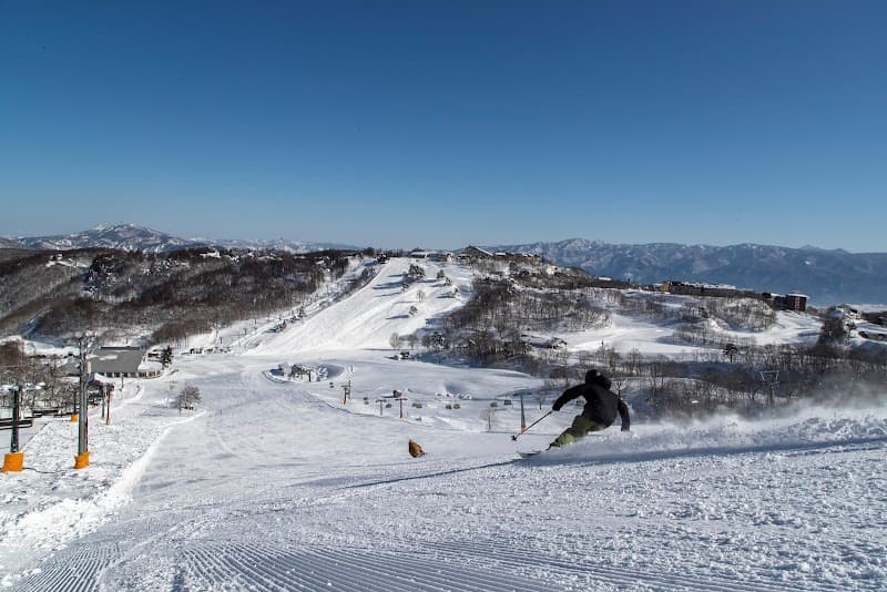 User photo of Madarao