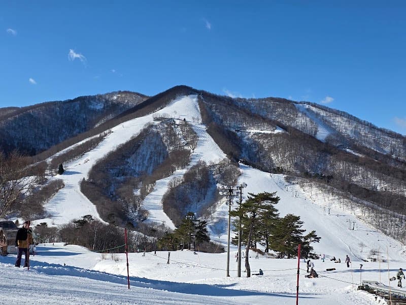 User photo of Madarao