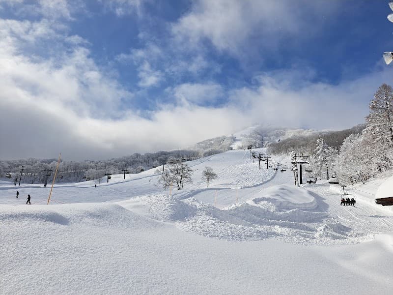 User photo of Madarao