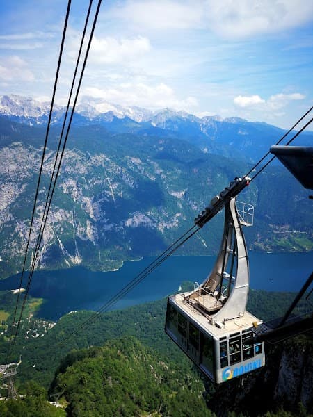User photo of Vogel