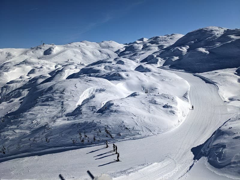 User photo of Vogel