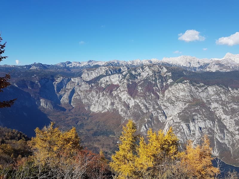 User photo of Vogel