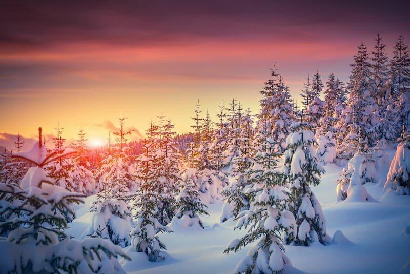 User photo of Peisey-Vallandry