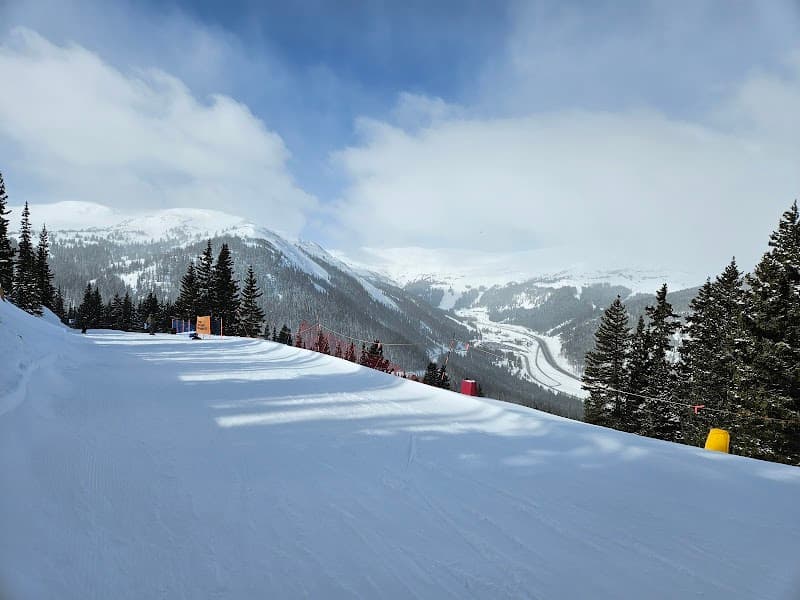 User photo of Loveland