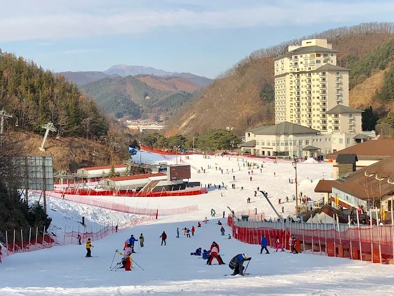 User photo of Elysian Gangchon